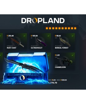 RESTRICTED VS. BUTTERFLY KNIFE Random CS2 Skin Case Dropland.net Key GLOBAL